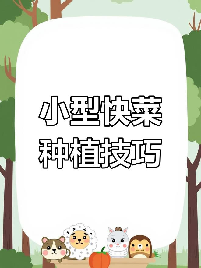 快菜:早熟大白菜,阳台小院都能种