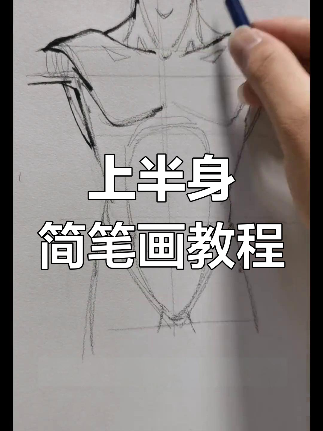 零基础学画画：简单肌肉画法，轻松掌握上半身结构