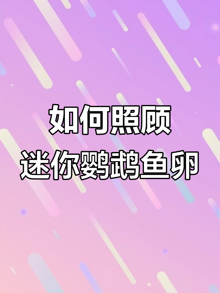 迷你鹦鹉鱼产卵后如何处理？这些技巧你必须知道