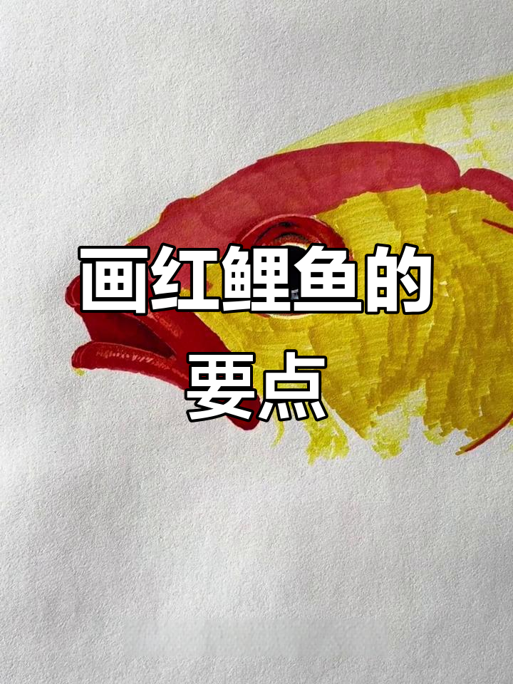 红鲤鱼马克笔绘制技巧,细节步骤全解析
