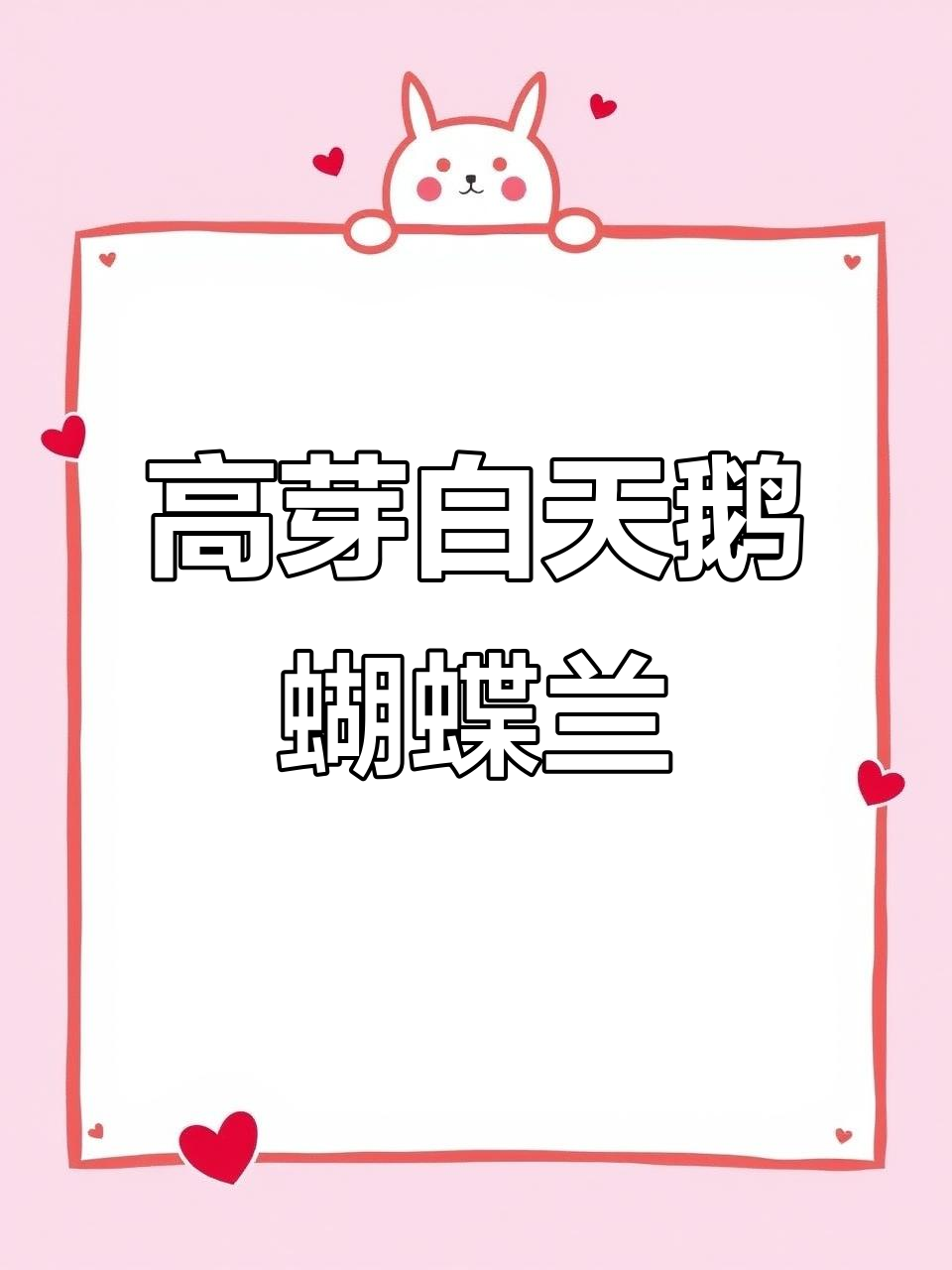 白天鹅蝴蝶兰:花剑多但花朵少,高芽品种魅力十足