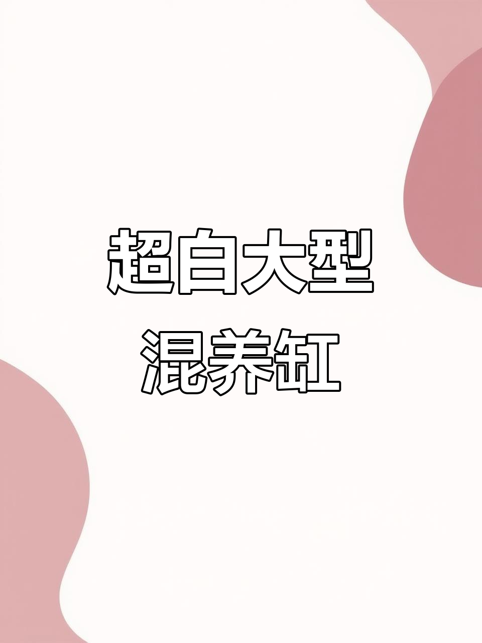 宝钻鱼缸定制大型混养缸,超白玻璃与双溢流设计完美结合