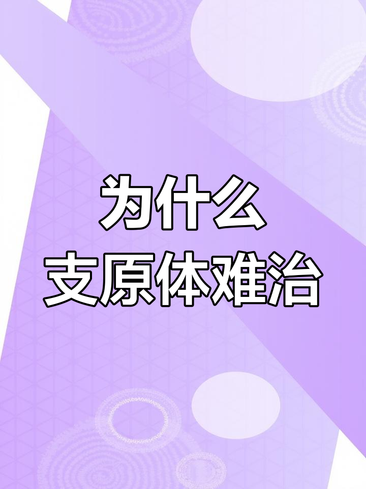 鸡群感染支原体后为何难以根除?原因分析
