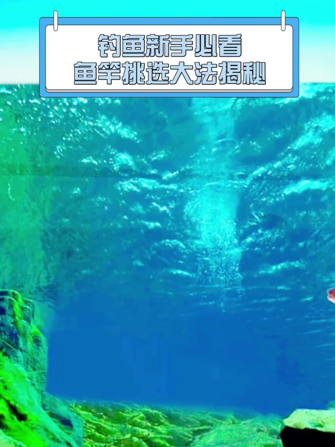 钓鱼新手必看,鱼竿挑选大法揭秘