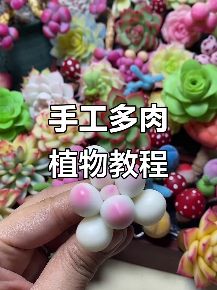 用树脂粘土打造可爱多肉植物,手工制作超有趣