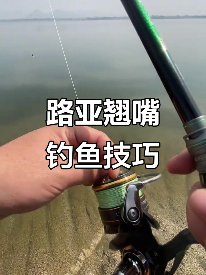 路亚翘嘴钓法揭秘：如何用亮片远投诱鱼