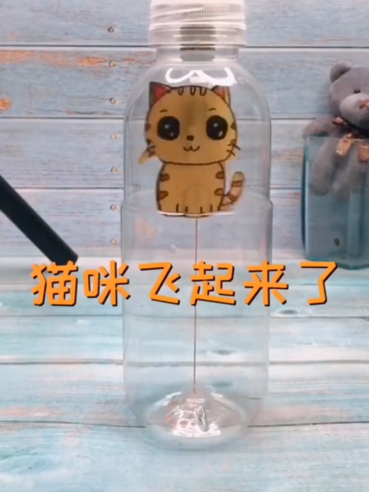 转圈圈的小猫