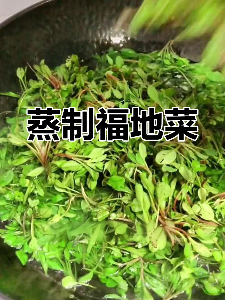 福地菜的美味做法,药食两用