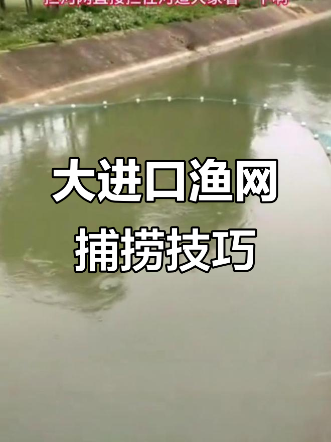 拦河网捕鱼神器,大浮球与铁链配合效果惊人