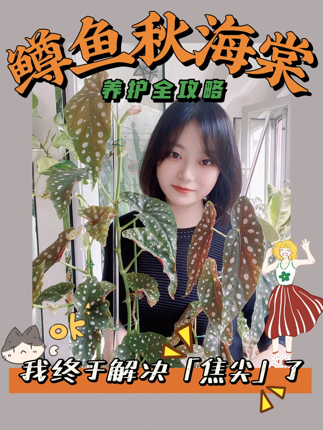 鳟鱼秋海棠|养护全攻略,彻底告别“焦尖”