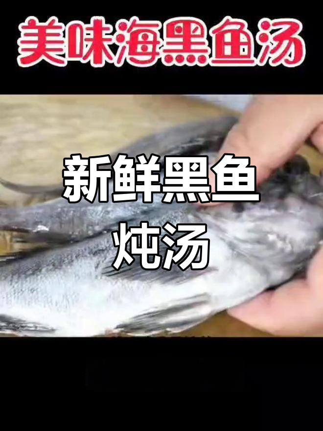 黑鱼汤的完美做法,新鲜黑鱼的挑选技巧