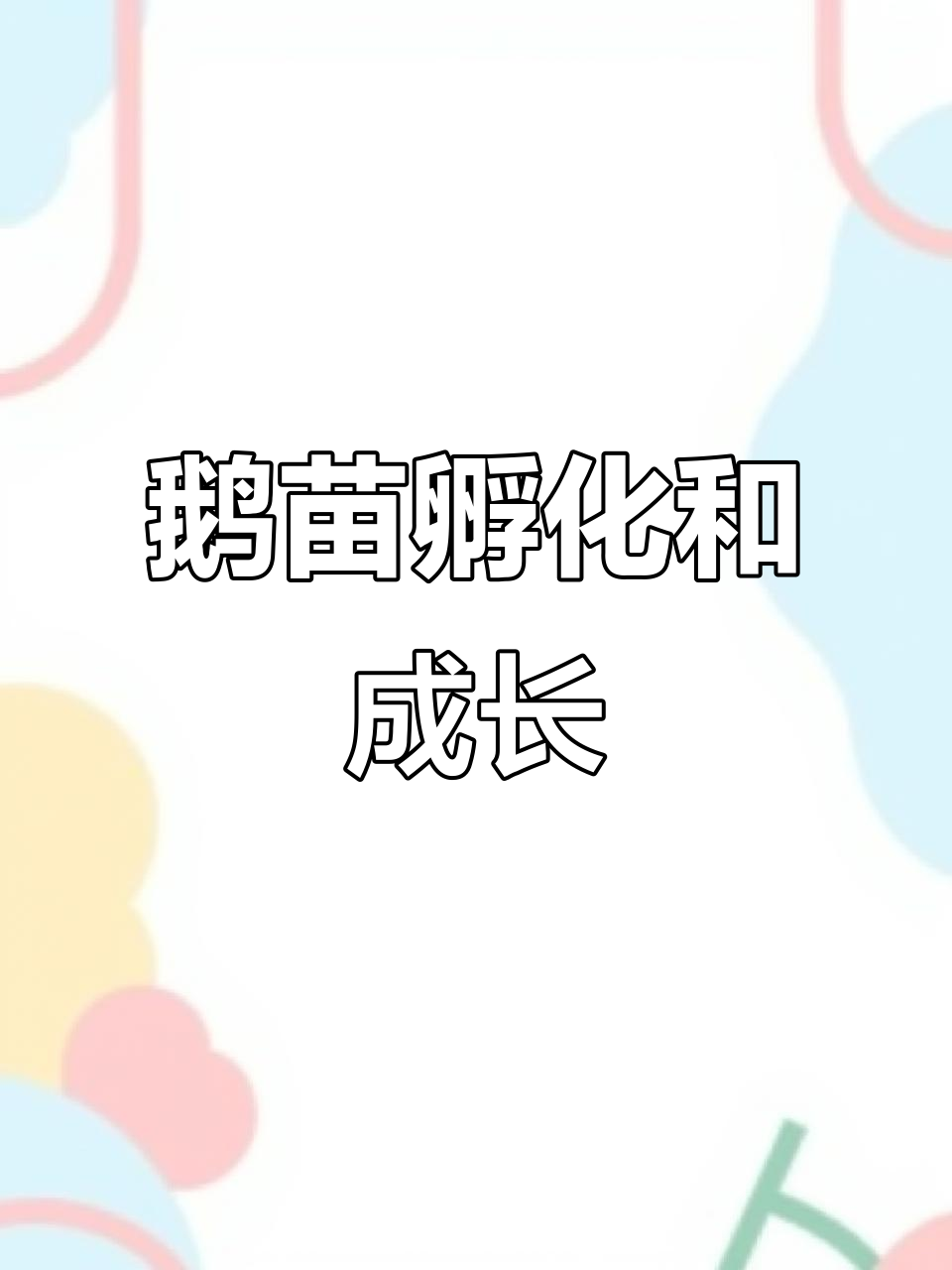 鹅苗孵化场揭秘:从脱温到成活全过程