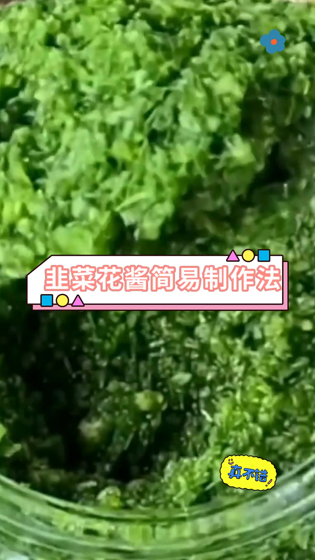 韭菜花酱简易制作法