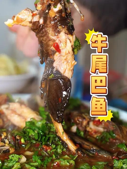 美味牛尾巴鱼 这样烧太好吃了 90岁婆婆,和媳妇摆摊卖牛尾巴鱼,传授地道烧鱼做法……这样烧