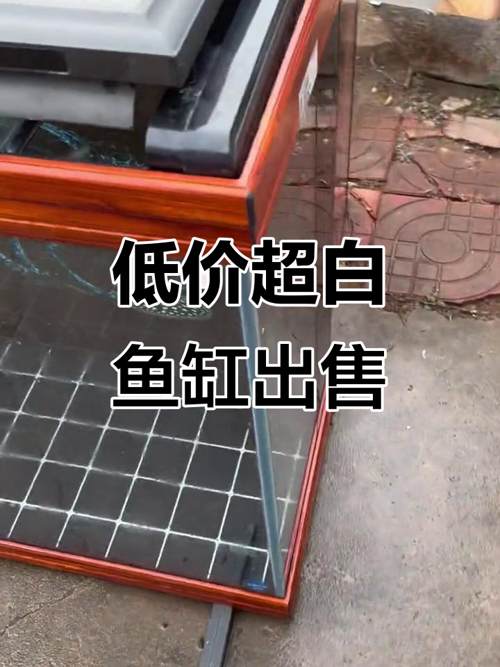 超白鱼缸低价转让,低滤系统完备