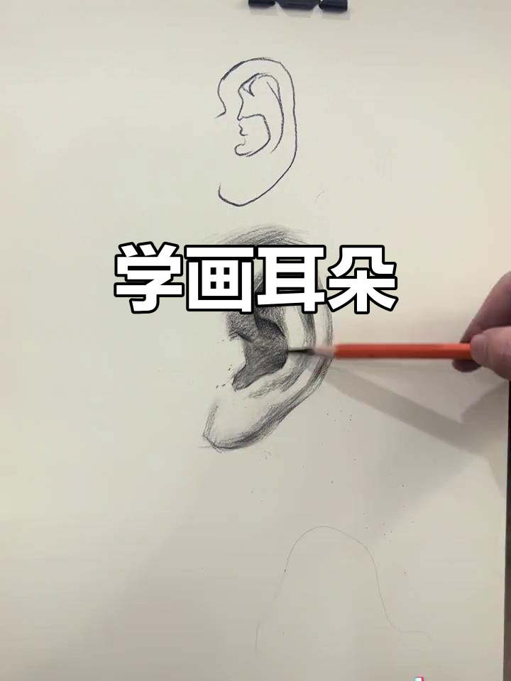 一起动手,轻松学会素描耳朵的技巧!