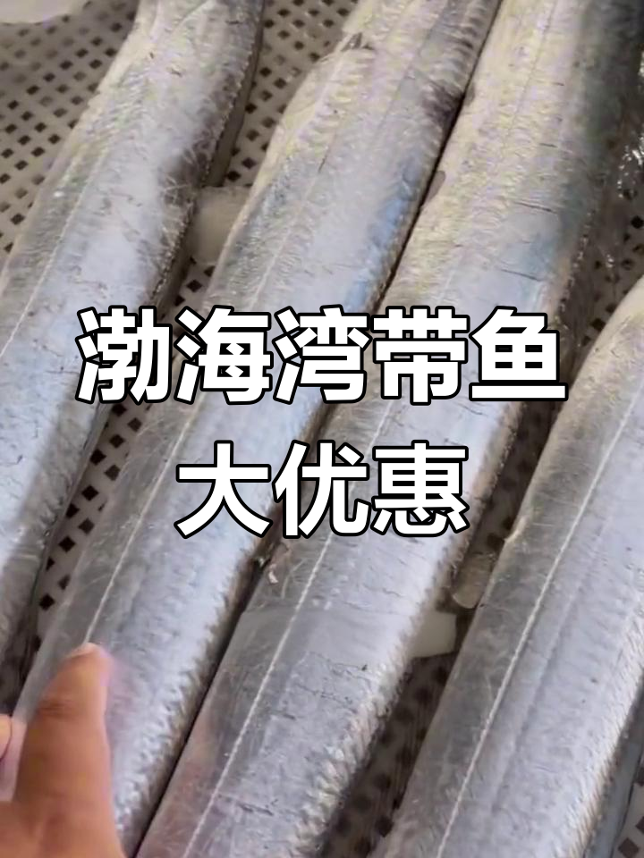 渤海湾刀鱼降价了,新鲜肥美超值福利来袭