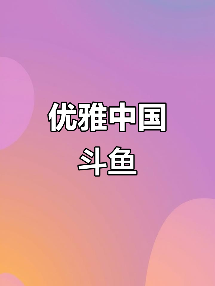 中国斗鱼:美丽如仙女,无需打氧加温的精灵