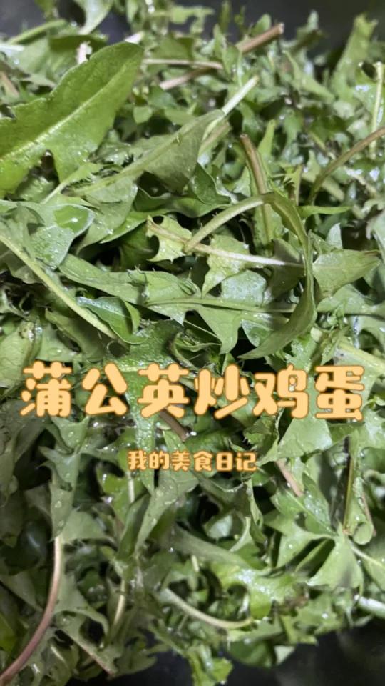 蒲公英炒鸡蛋-春季养生菜-做给妈妈吃