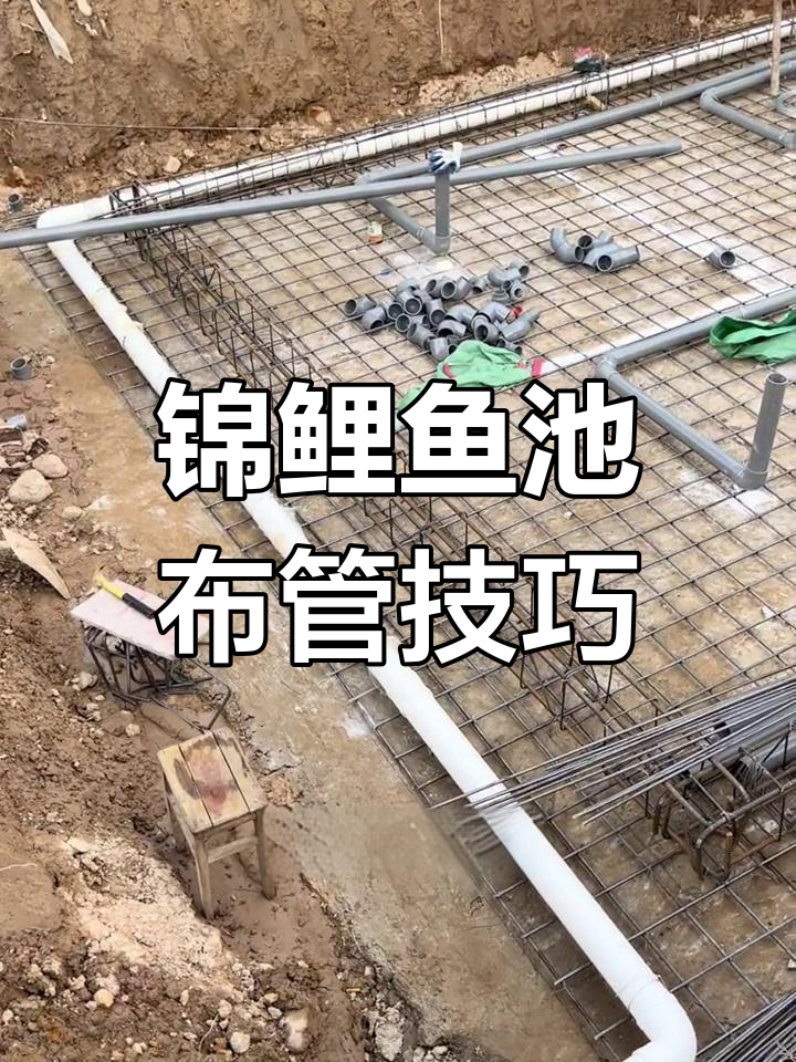 锦鲤鱼池过滤系统布管全解析,排污与底吸管道详解
