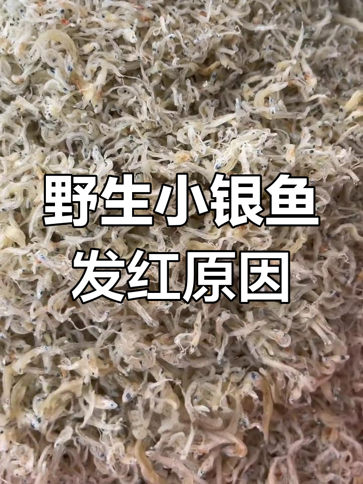 小银鱼干为何有红色?