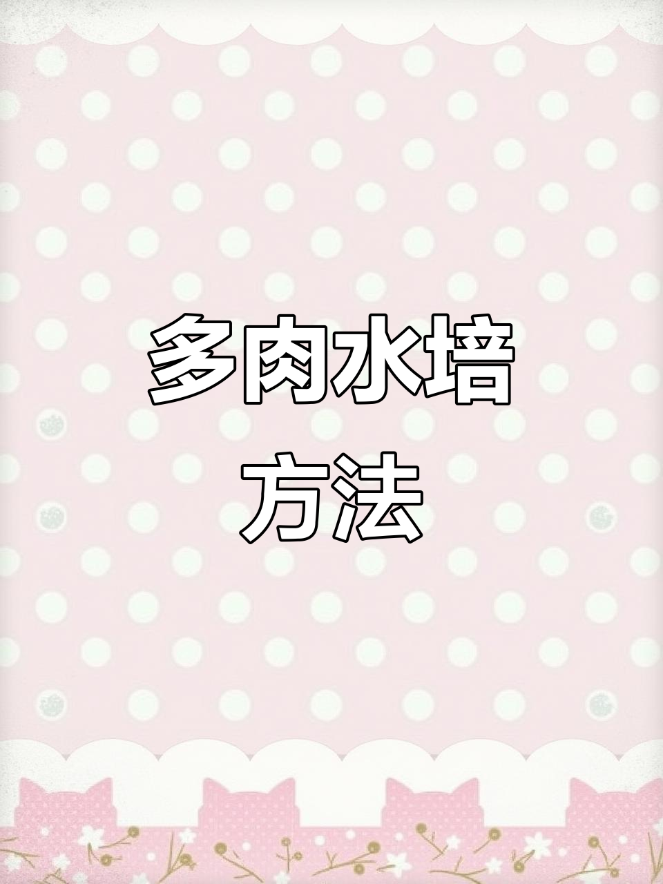 多肉水培技巧大公开,轻松搞定根系处理