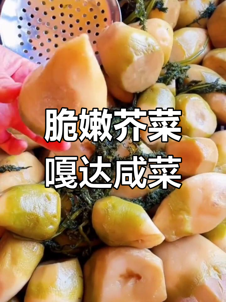 东北芥菜疙瘩咸菜的绝妙做法,炒黄豆更下饭