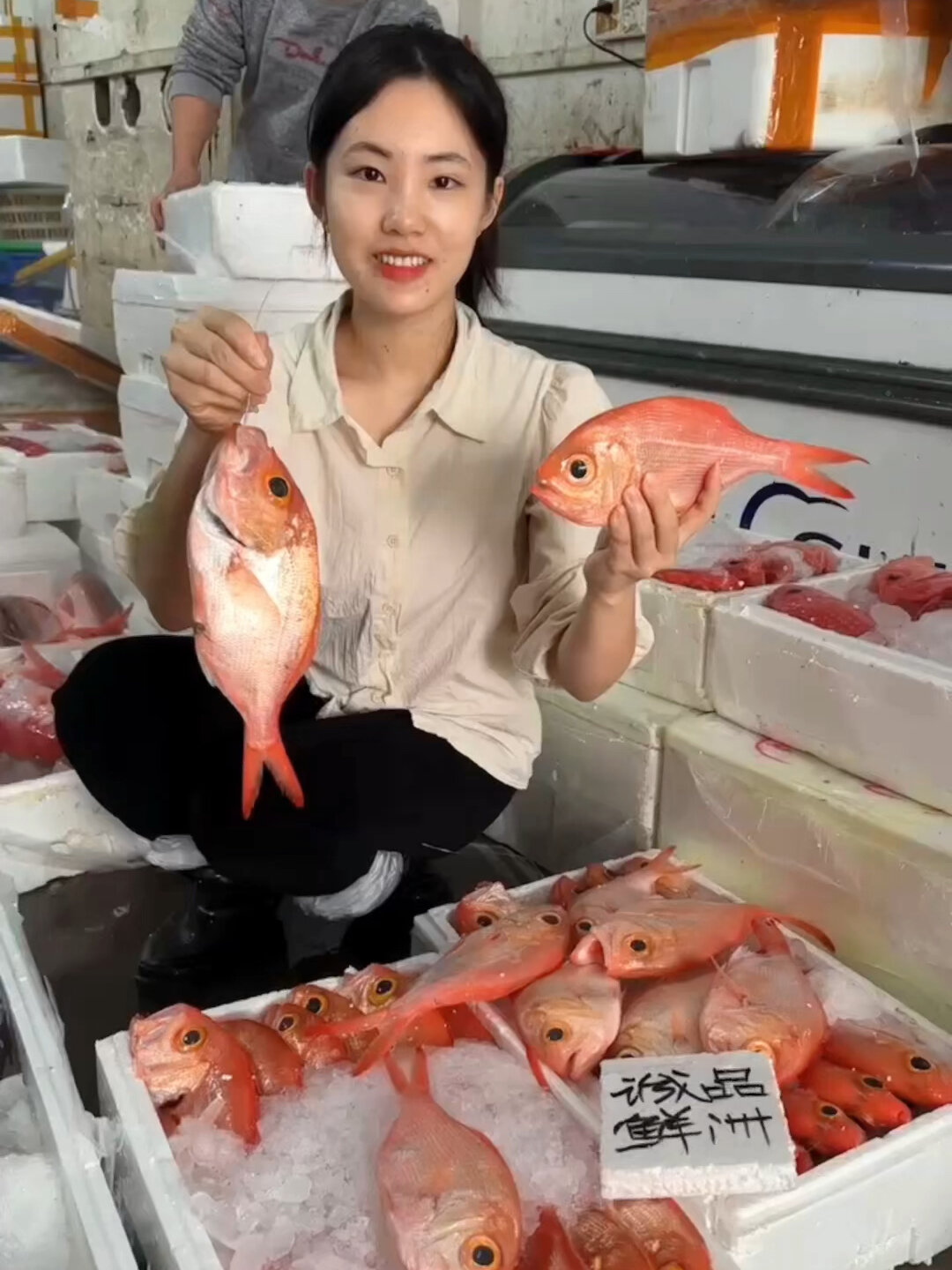 海钓加吉鱼