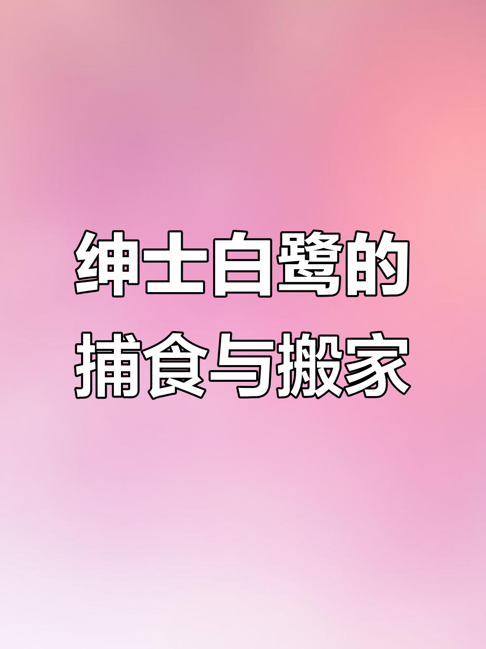 白鹭：优雅捕鱼高手，挑剔居住环境
