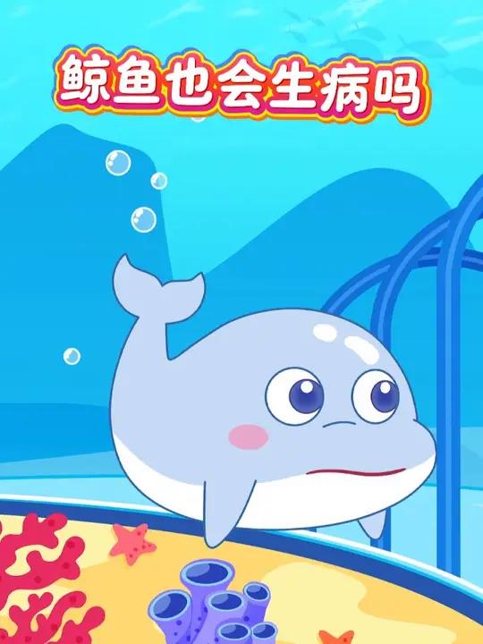  鲸鱼也会生病？@鲸鱼早教启蒙动画动物科普热点