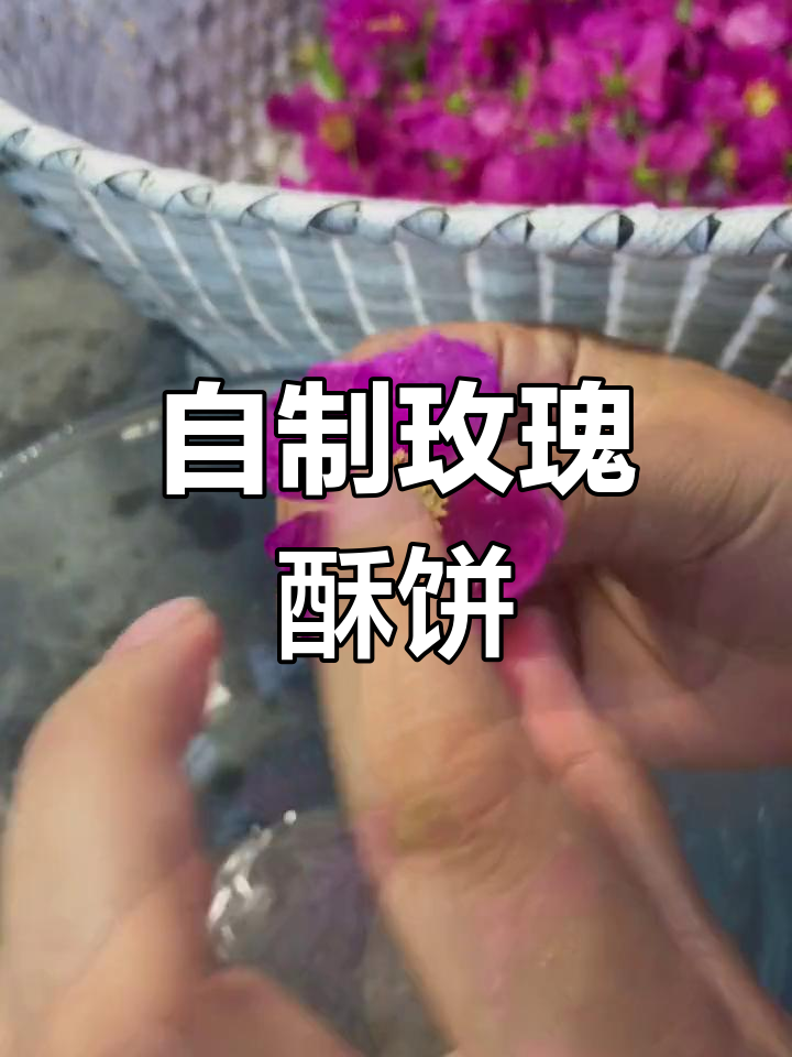 玫瑰酥饼制作大揭秘,野玫瑰花瓣与猪油完美结合