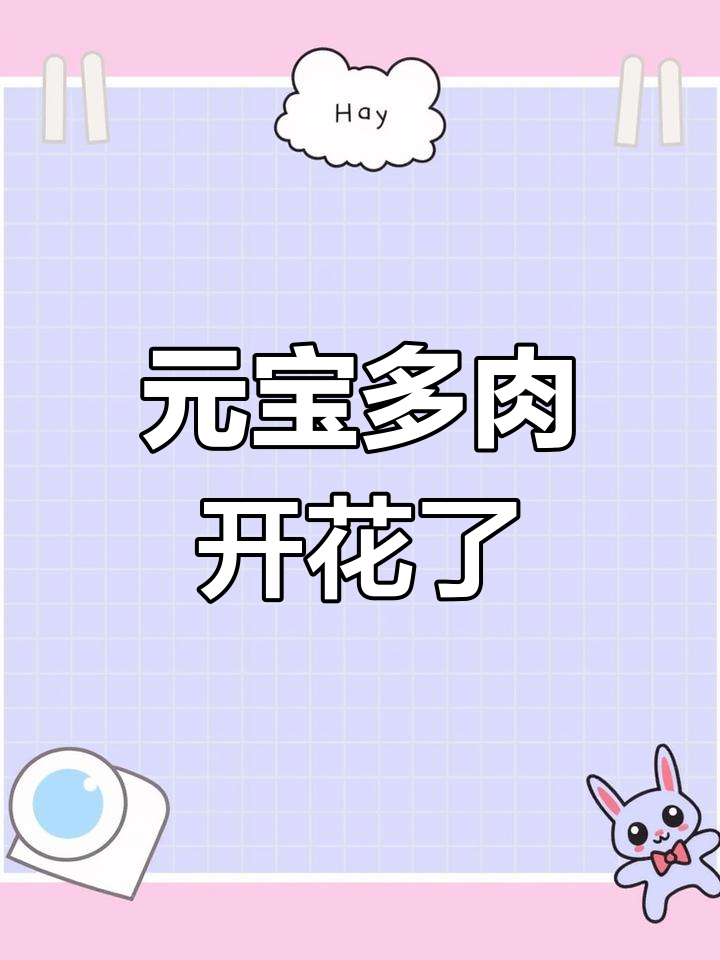 多肉元宝开花惊艳,竟然能开出这么多花!