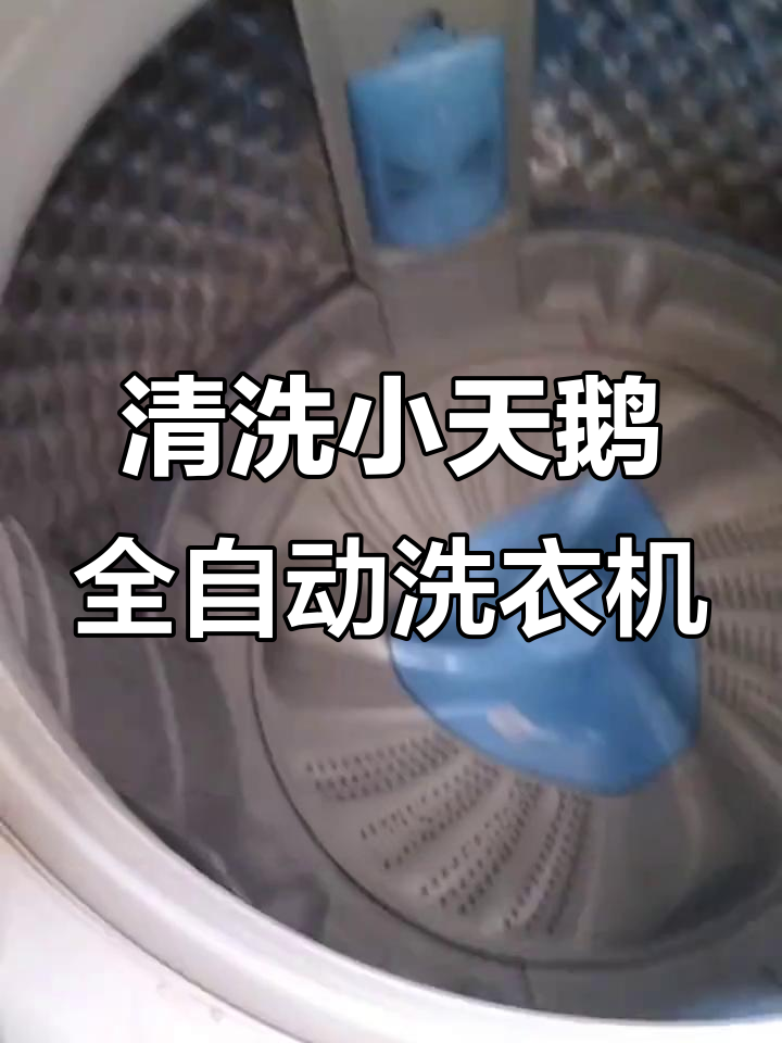 小天鹅洗衣机全拆洗,轻松解决洗衣不干净问题
