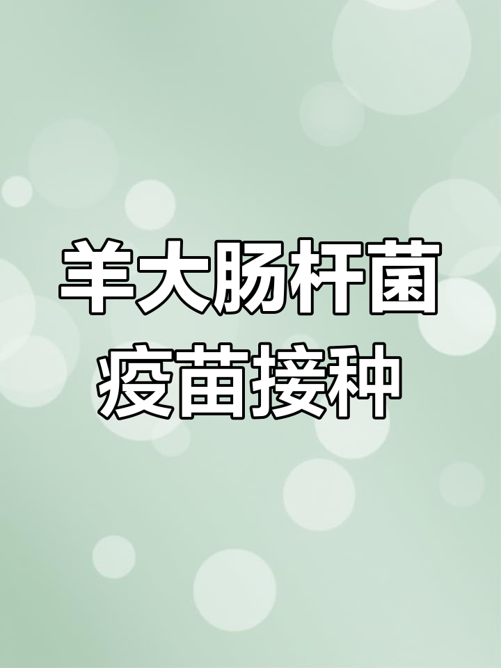小羊羔拉稀、腹痛,如何应对大肠杆菌感染?