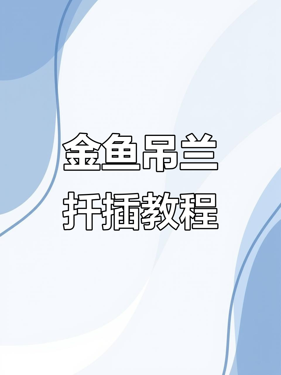 如何扦插金鱼吊兰,快速生根技巧大公开