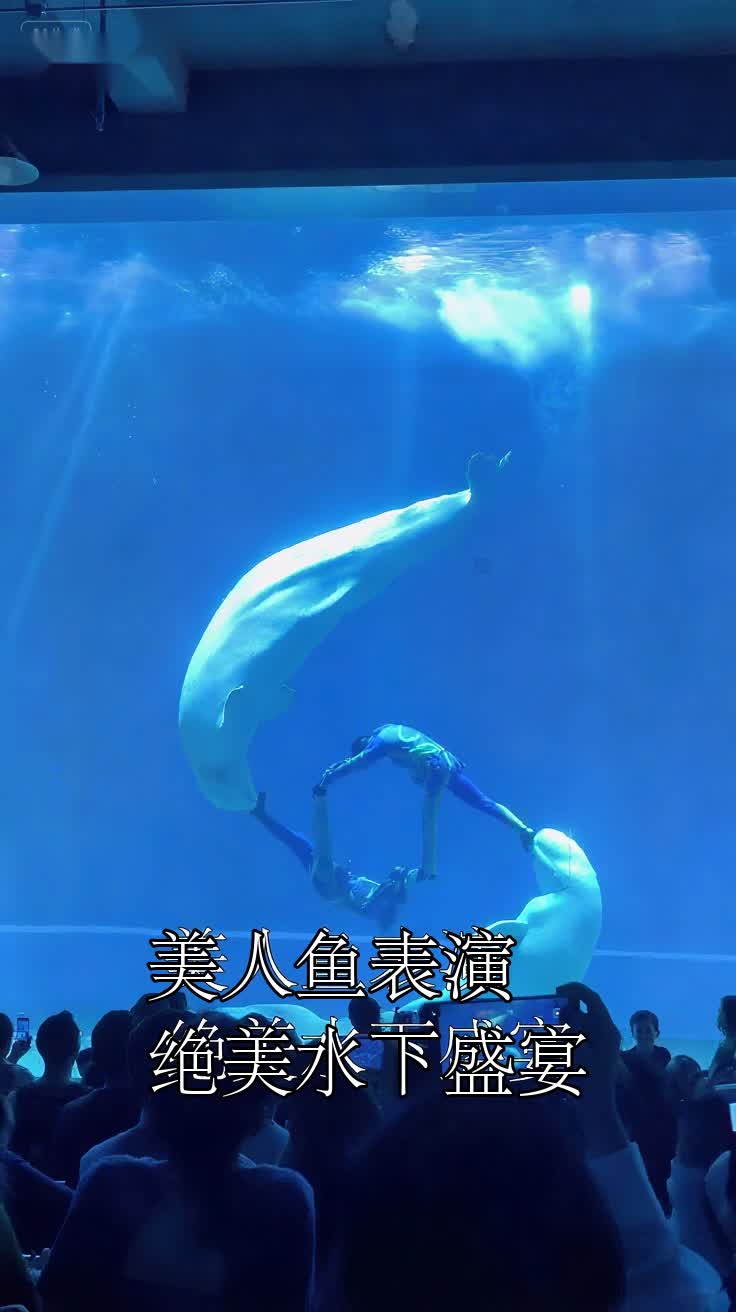 美人鱼表演,绝美水下盛宴