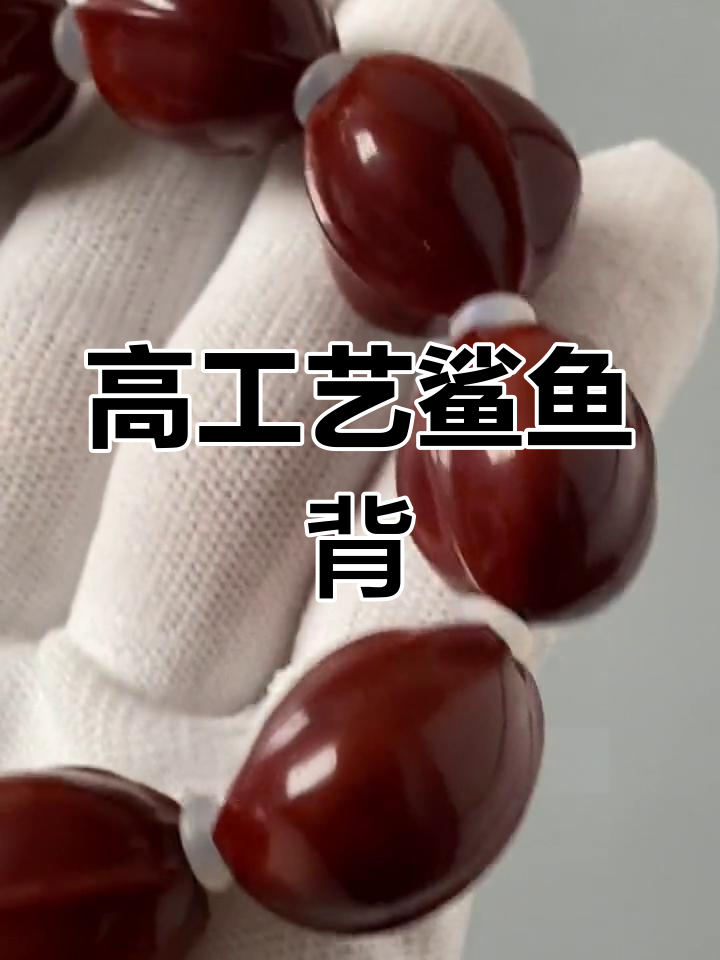 橄榄核鲨鱼背,光滑如丝