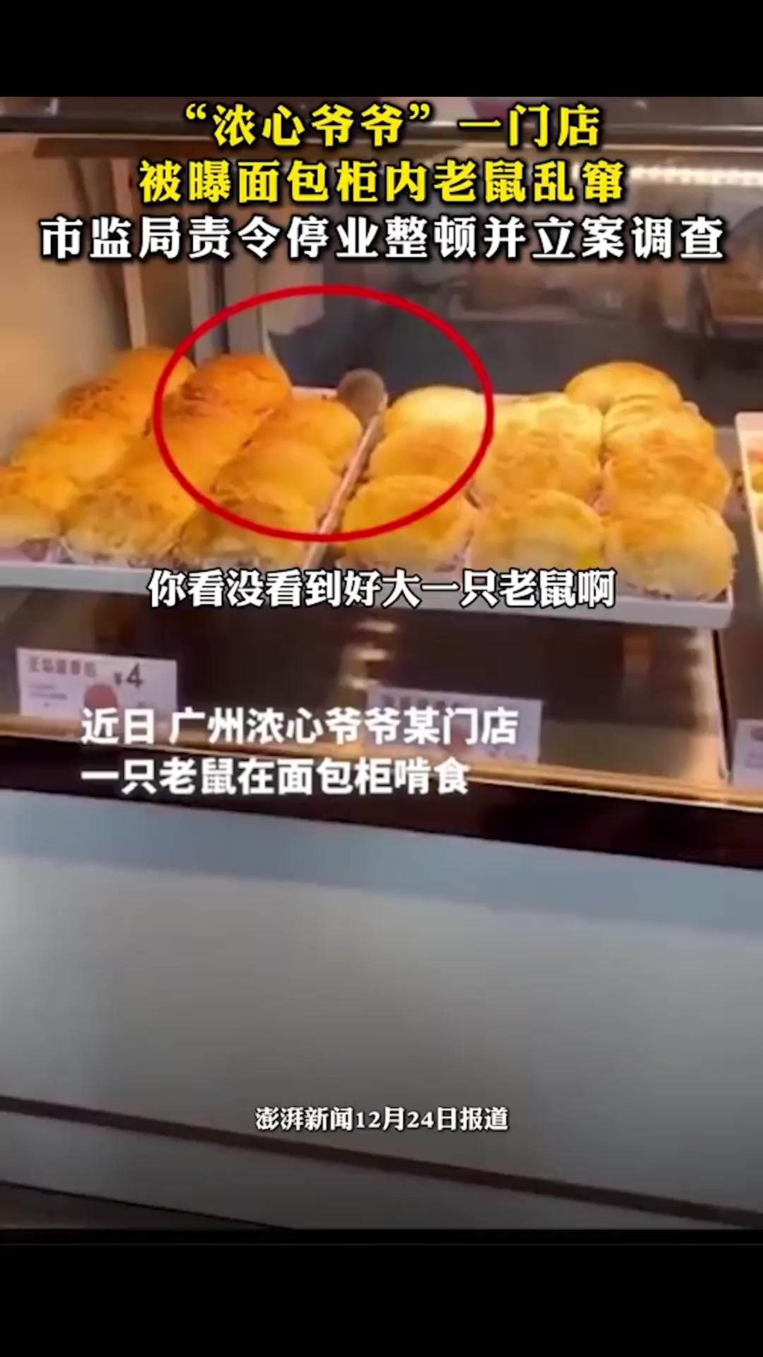 “浓心爷爷”一门店被曝面包柜内老鼠乱窜,市监局责令停业整顿并立案调查