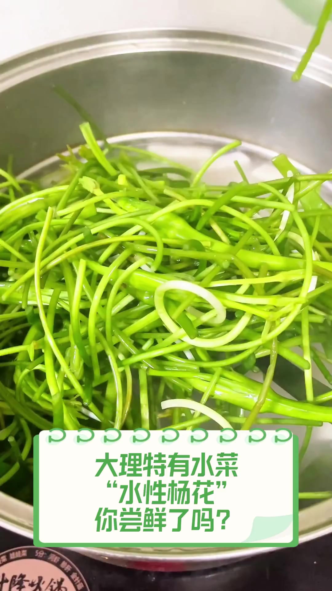 大理特有水菜“水性杨花”,你尝鲜了吗?
