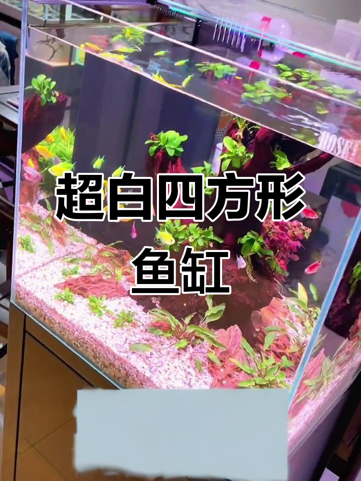 50x50x50CM超白四方鱼缸,年货节特惠!