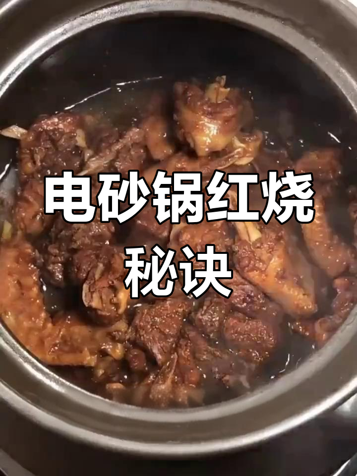 轻松几步,电砂锅做出美味红烧鸭肉,告别烧焦的烦恼!