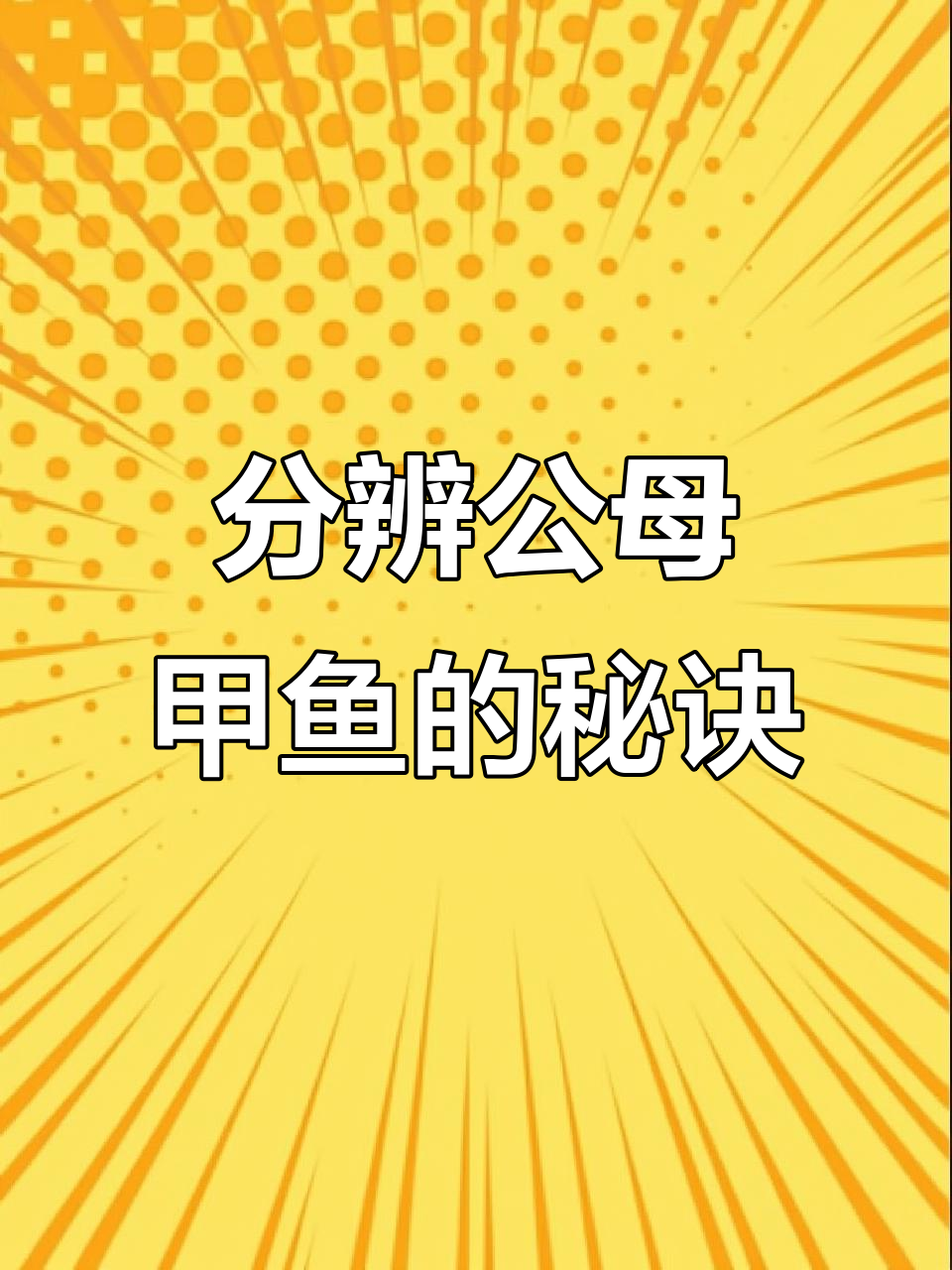 如何辨别公母甲鱼,掌握这些技巧轻松挑选