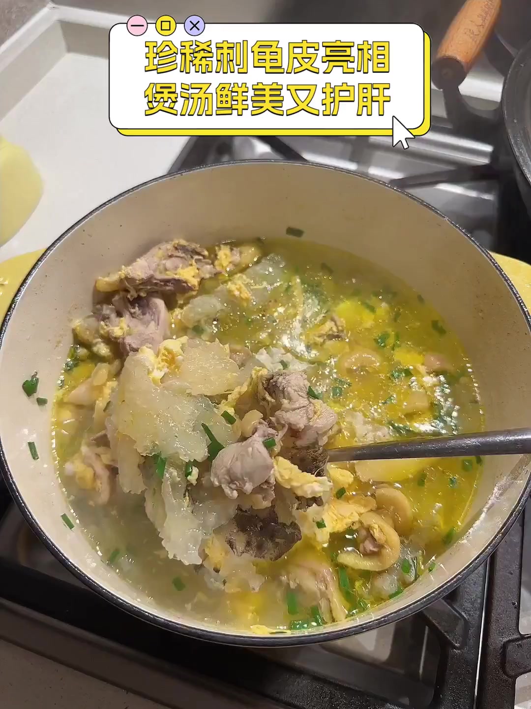 珍稀刺龟皮亮相,煲汤鲜美又护肝