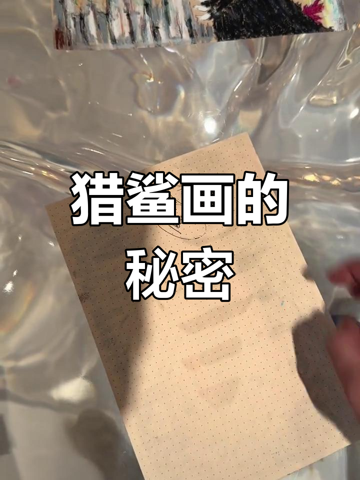 5万阿姨的画作挑战:鲨鱼与胶带的奇妙转变