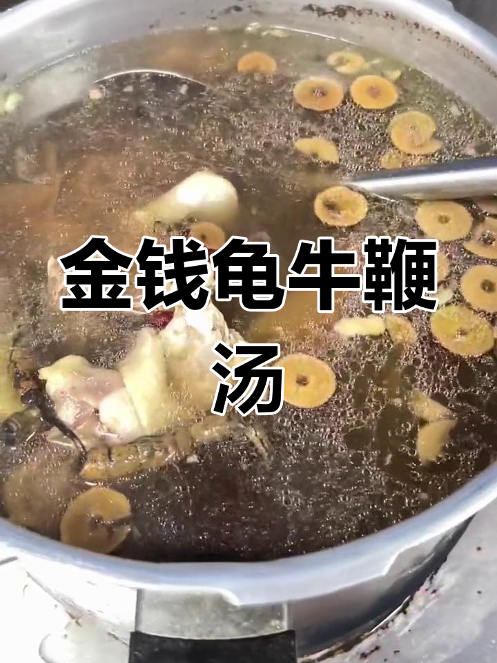 滋补金钱龟牛鞭老鸡汤,营养满分