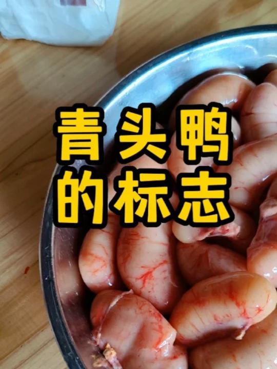 不是什么鸭都可以叫青头鸭