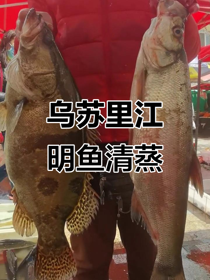 乌苏里江野生鳌花鱼与大白鱼的绝配美味