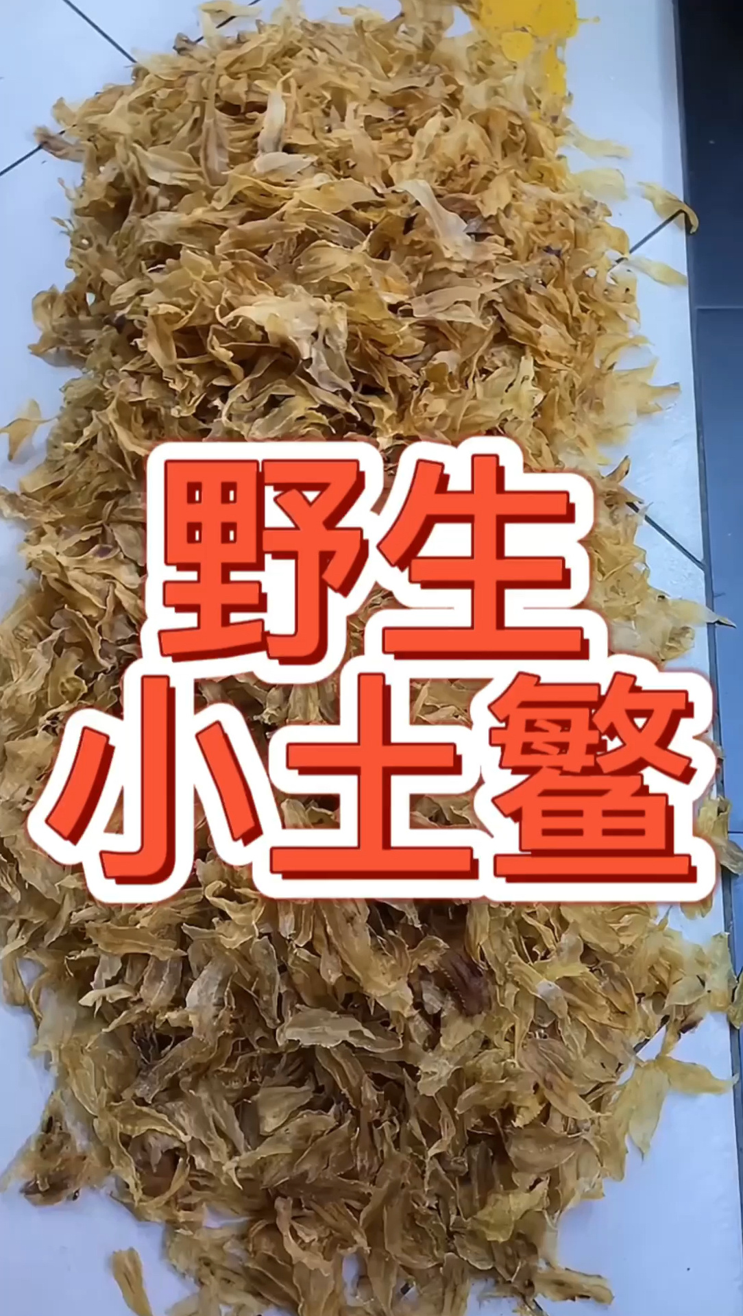 小土鳘-补气血 低调的王者