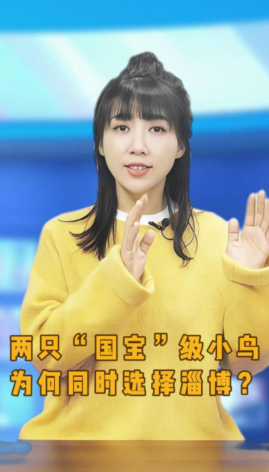 俺们淄博丨两只“国宝”级小鸟，为何同时选择淄博？