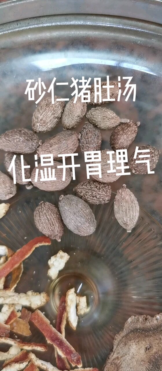 砂仁猪肚汤,化湿开胃,理气,好吃又调理
